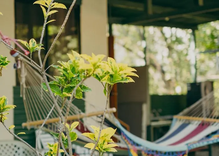 Camping Chilamate Rainforest Retreat *